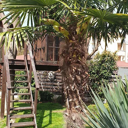 Aparthotel Venti Club 3*